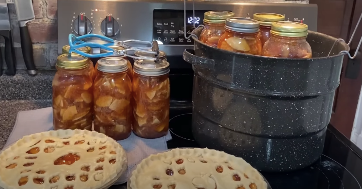 picture of canned apple pie